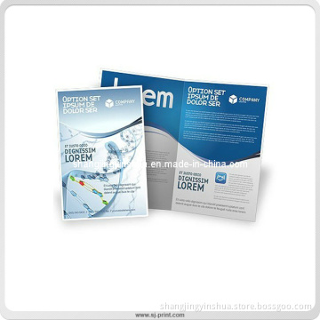 Customized Brochure Printing Unique Style Brochure (PB006)